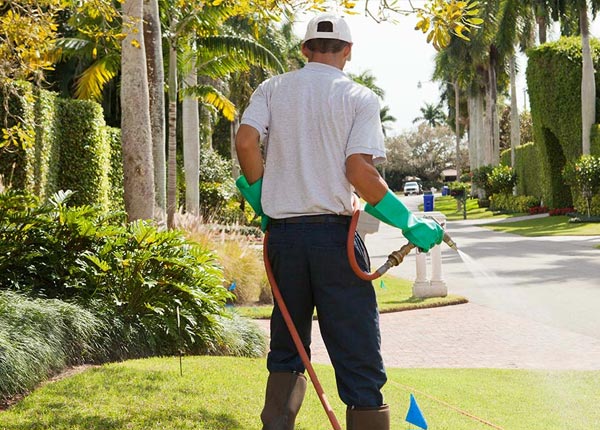 About La Fargeville NY Pest Control